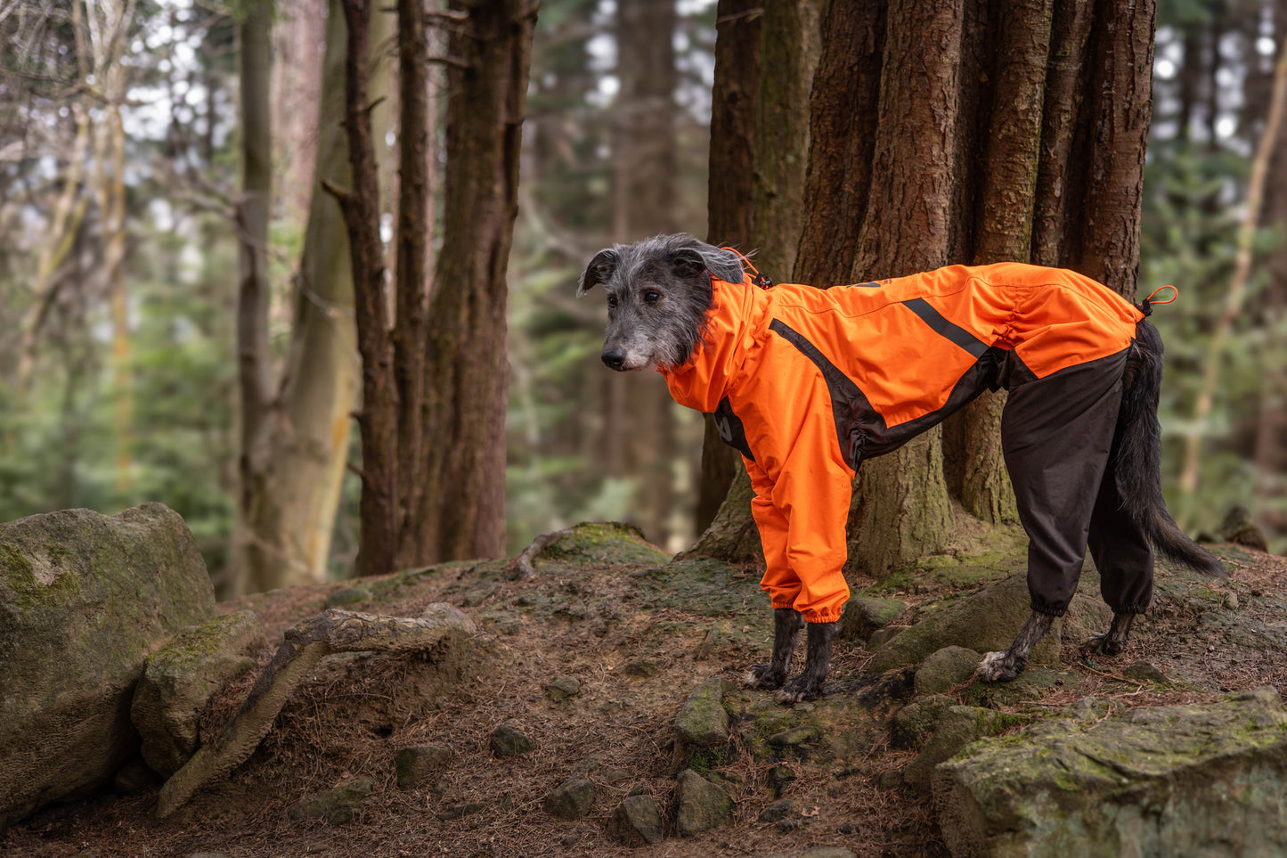 Non-Stop Dogwear Fjord Chubasquero Completo - Chubasquero Entero Perro