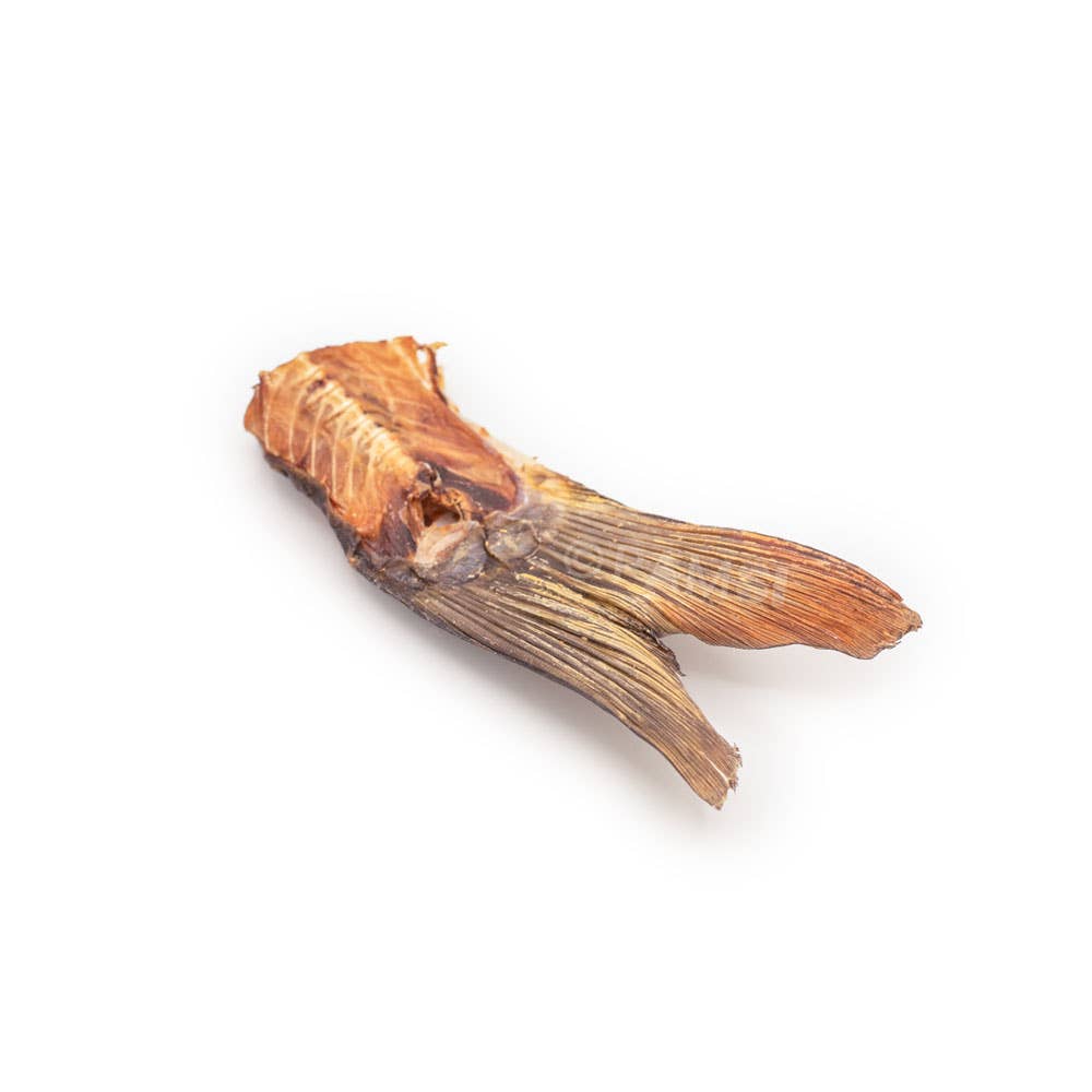 Colas de Carpa Deshidratadas – Snack Natural para Perros y Gatos.