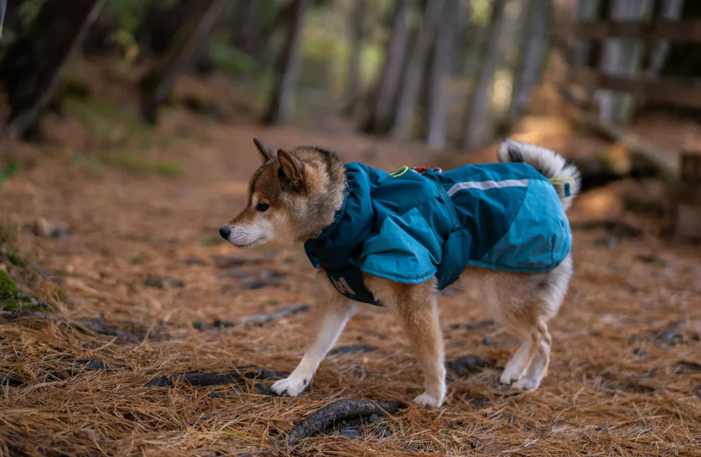 Non-Stop Dogwear Glacier 3.0 Chaqueta- Abrigo para perros.