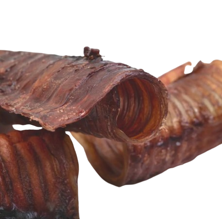 Snacks Traquea de Ternera para Perros 1