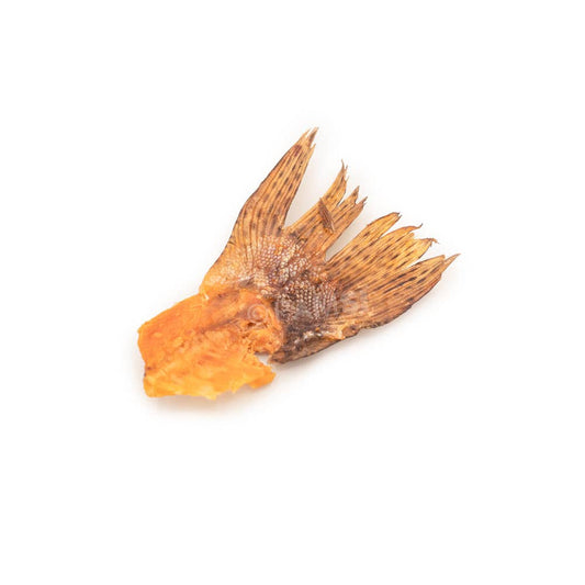 Colas de trucha - Delicia masticable para perros