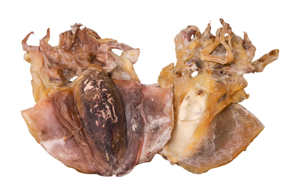 Chocos.Snack pescado. Snack natural para Perros y Gatos