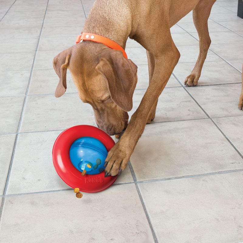 Kong Gyro L. Juguete interactivo.