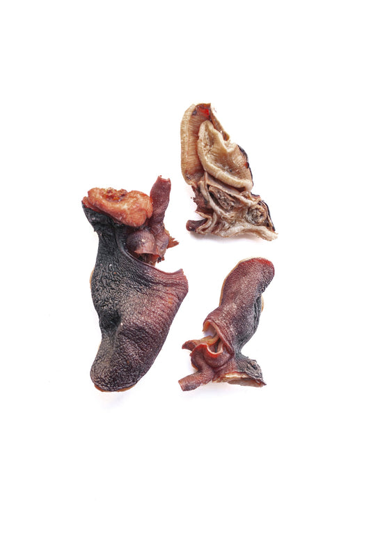 Cabeza de pulpo. Snack pescado. Snack natural para Perros y Gatos