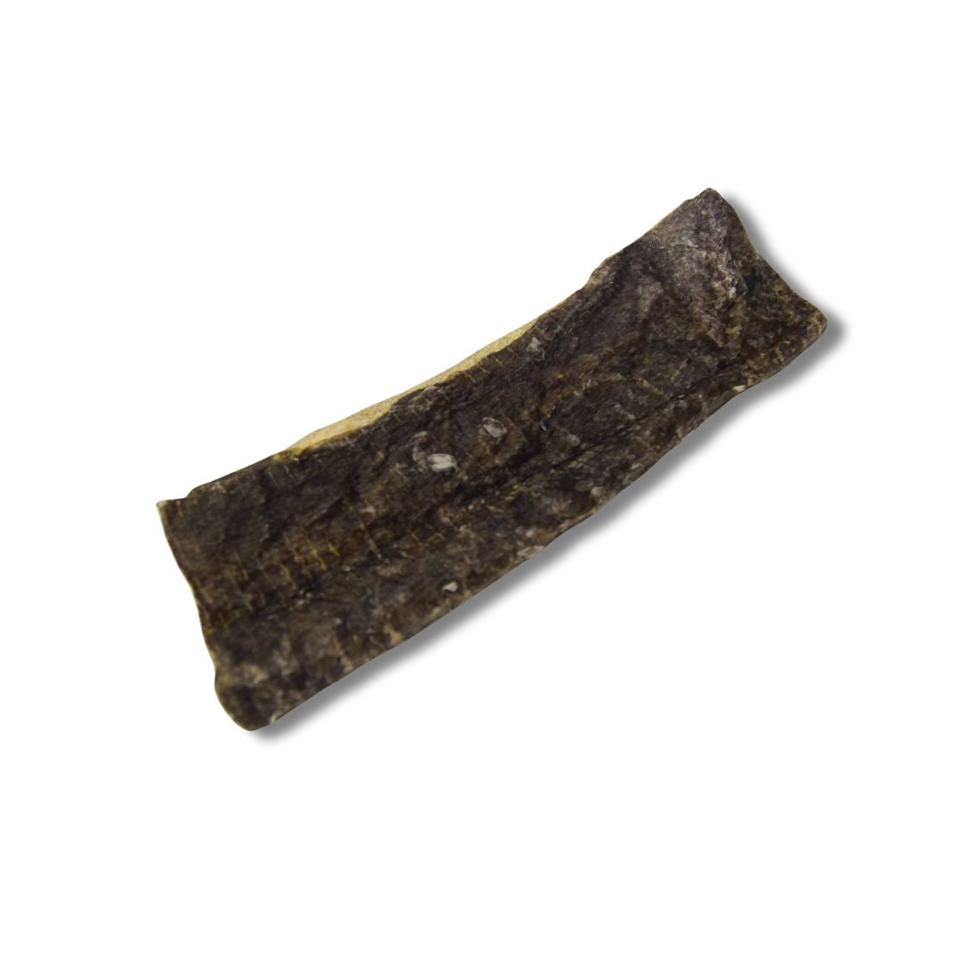 Piel fogonero. Snack pescado. Snack natural para Perros y Gatos