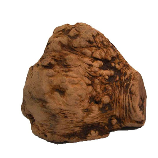 Raíz Madera de Java, Mordedor Natural para Perros