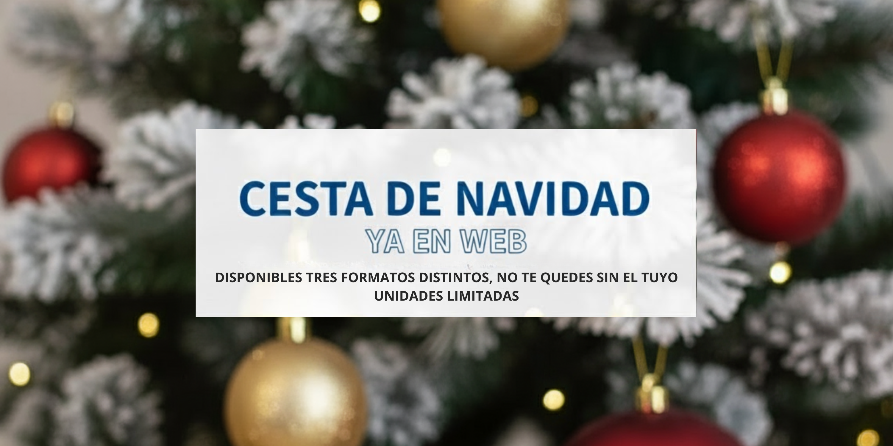 Campaña de navidad