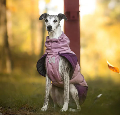 Non-Stop Dogwear Glacier  3.0 Chaqueta- Abrigo para perros.