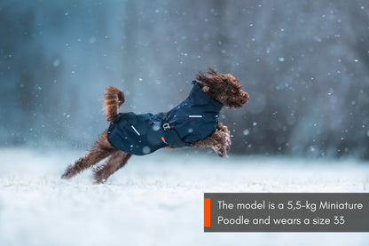 Non-Stop Dogwear Glacier  Wool 2.0 Chaqueta- Abrigo para perros.