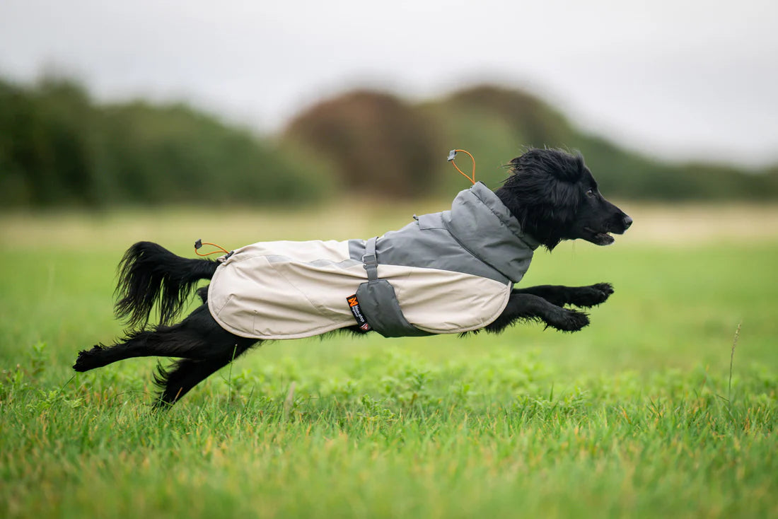 Non-Stop Dogwear Glacier  Wool 3.0 Chaqueta- Abrigo para perros.