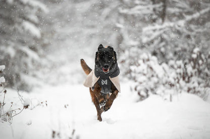 Non-Stop Dogwear Glacier  Wool 3.0 Chaqueta- Abrigo para perros.