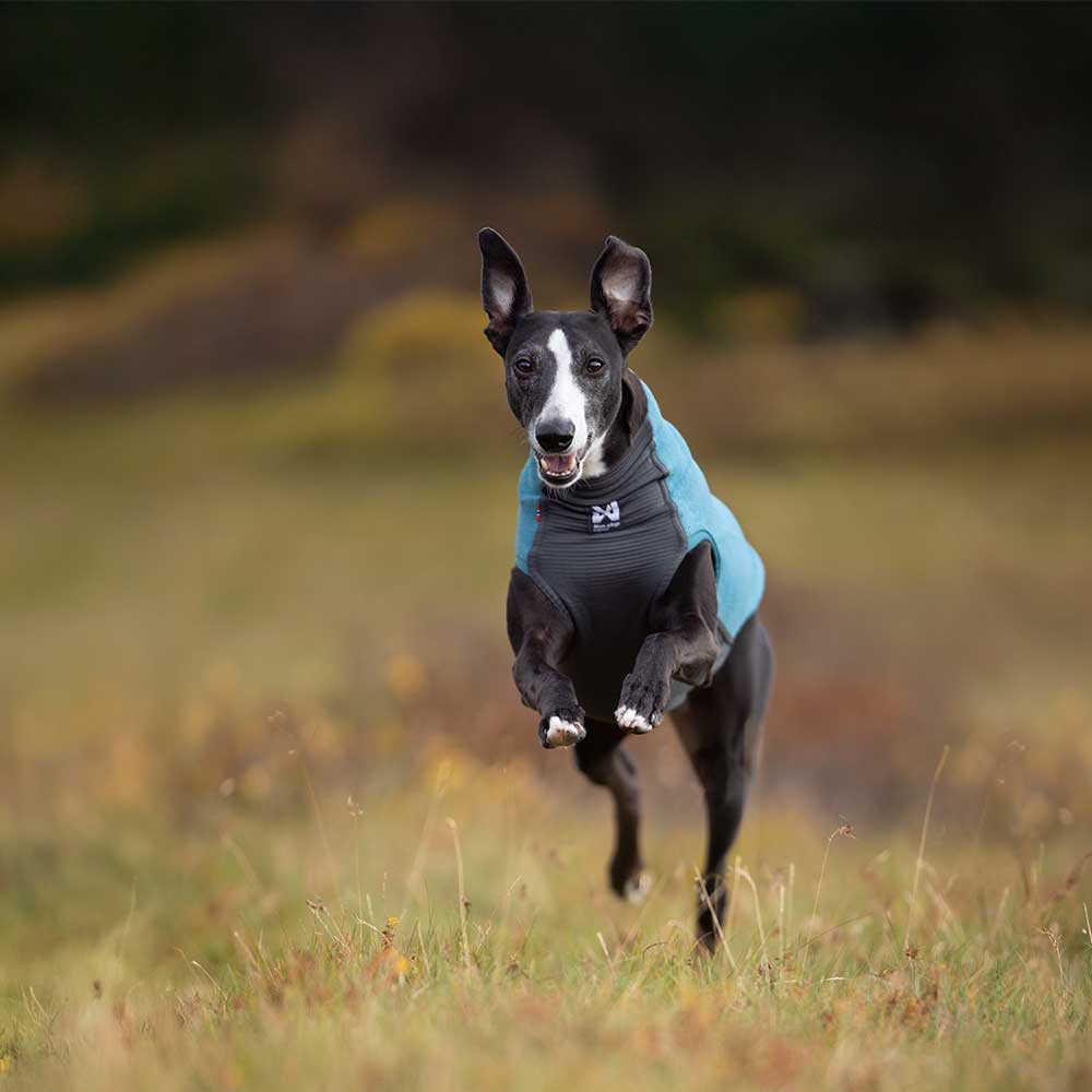 Non-stop dogwear Trail Quest Fleece Pullover – Jersey polar técnico para perros activos