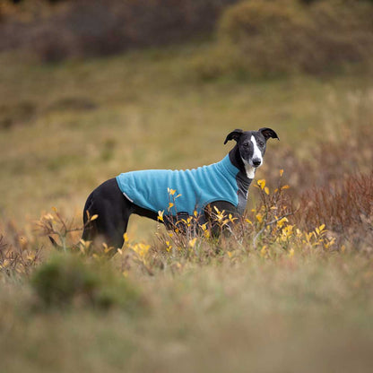 Non-stop dogwear Trail Quest Fleece Pullover – Jersey polar técnico para perros activos